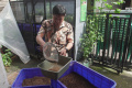 Manfaatkan-Maggot-di-Lingkungan-Warga_20250429_140135.jpg