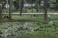 Mangisi-Hari-Libur-di-Taman-Kota_20250512_205715.jpg