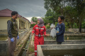 Melestarikan-Ikan-Belida_20241005_194228.jpg