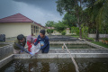Melestarikan-Ikan-Belida_20241005_214419.jpg