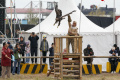 Melihat-Kompetisi-Pemburu-Elang-di-World-Nomad-Games_20240914_170636.jpg