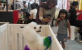 Melihat-PETFEST-2025-Surganya-Pecinta-Hewan_20250504_111046.jpg