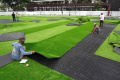 Memasang-Rumput-Sintetis-Baru-di-Taman-Alun-alun-Kota-Bandung_20241026_122807.jpg