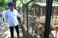 Menteri-Lingkungan-Hidup-Kunjungi-KBS_20250508_103801.jpg
