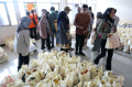 PTDI-Bagikan-1000-Paket-Sembako-Gratis_20250321_135033.jpg