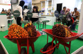 Pameran-Perkebunan-Expo-2024_20240912_141714.jpg