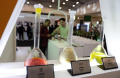 Pameran-Perkebunan-Expo-2024_20240912_141751.jpg