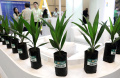 Pameran-Perkebunan-Expo-2024_20240912_141753.jpg