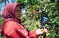 Panen-Raya-Kopi-Arabika-Bogor_20250505_224021.jpg