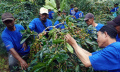 Panen-Raya-Kopi-Arabika-Bogor_20250506_111307.jpg