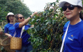Panen-Raya-Kopi-Arabika-Bogor_20250506_111311.jpg