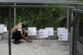 Pelestarian-Penyu-Sisik-di-Bintan-Kepri_20250506_200352.jpg