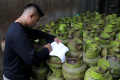 Pemerintah Pastikan Harga LPG Masih Stabil