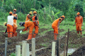 Pemprov-DKI-Gelar-Tanam-Serentak-Wujudkan-Mandiri-Pangan_20250122_100235.jpg