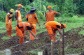 Pemprov-DKI-Gelar-Tanam-Serentak-Wujudkan-Mandiri-Pangan_20250122_100237.jpg