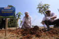 Penanaman-Pohon-Untuk-Pelestarian-Lingkungan_20241107_182805.jpg