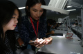 Pengenalan-Menambal-Gigi-untuk-Siswa-SMA_20250308_212044.jpg