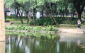 Penggabungan-Tiga-Taman-di-Jakarta-Selatan_20250716_094949.jpg