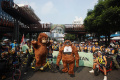 Peringatan Hari Orangutan Sedunia