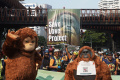 Peringatan Hari Orangutan Sedunia