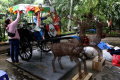 Persiapan-Natal-Gereja-Katedral-Jakarta_20241223_154124.jpg