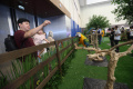 PetFest 2026