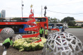 Petugas Menyelesaikan Dekorasi Natal