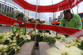 Petugas Menyelesaikan Dekorasi Natal