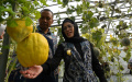 Pjs-Walikota-Surabaya-Tinjau-Boezem-dan-Kebun_20241101_165025.jpg