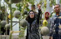 Pjs-Walikota-Surabaya-Tinjau-Boezem-dan-Kebun_20241101_165028.jpg