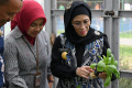 Pjs-Walikota-Surabaya-Tinjau-Boezem-dan-Kebun_20241101_165030.jpg