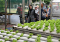 Pjs-Walikota-Surabaya-Tinjau-Boezem-dan-Kebun_20241101_165034.jpg
