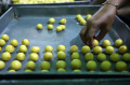 Produksi Kue Kering Jelang Idul Fitri