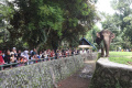 Ragunan-Ramai-Pengunjung-Liburan-Lebaran_20250402_081039.jpg