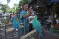 Rencana-Relokasi-Pasar-Barito_20250708_181029.jpg
