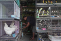 Rencana-Relokasi-Pasar-Barito_20250708_181211.jpg