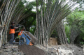 Renovasi-Taman-Harmoni-Keputih-Surabaya_20250423_201850.jpg