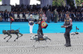 Robot-Polisi-dan-Anjing-Pintar-I-K9-Unjuk-Aksi-di-HUT-ke-79-Bhay_20250701_154101.jpg