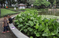 Taman 24 Jam Untuk Warga Jakarta