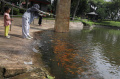Taman 24 Jam Untuk Warga Jakarta
