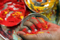 Warna-warni-Meriahkan-Festival-Holi-di-Konsulat-Jenderal-India_20250316_153138.jpg