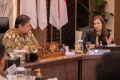 Airlangga Hartarto Terima Kunjungan Dubes Hungaria Lilla Karsay