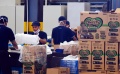 Aktivitas Produksi PT Softex Indonesia di Pabrik Sidoarjo