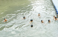 anak-anak-asik-berenang-di-kali-kwitang-jakarta_20240522_203307.jpg