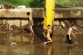 Anak-anak Nekat Berenang di Bantaran Sungai Ciliwung