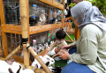 Animal Show di Mal Paris Van Java