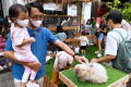 Animal Show di Mal Paris Van Java