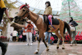 Animal Show di Mal Paris Van Java