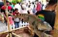 Animal Show di Mal Paris Van Java