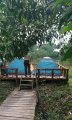 asyiknya-camping-di-hutan-wisata-punti-kayu_20231203_183511.jpg